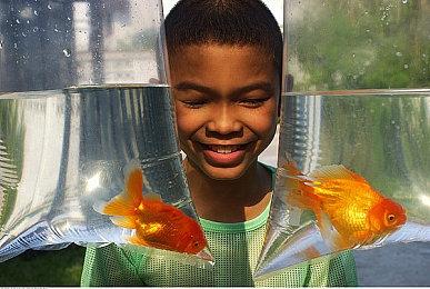 《森林之子》发布新补丁更新 增加迷你Boss战和新物品